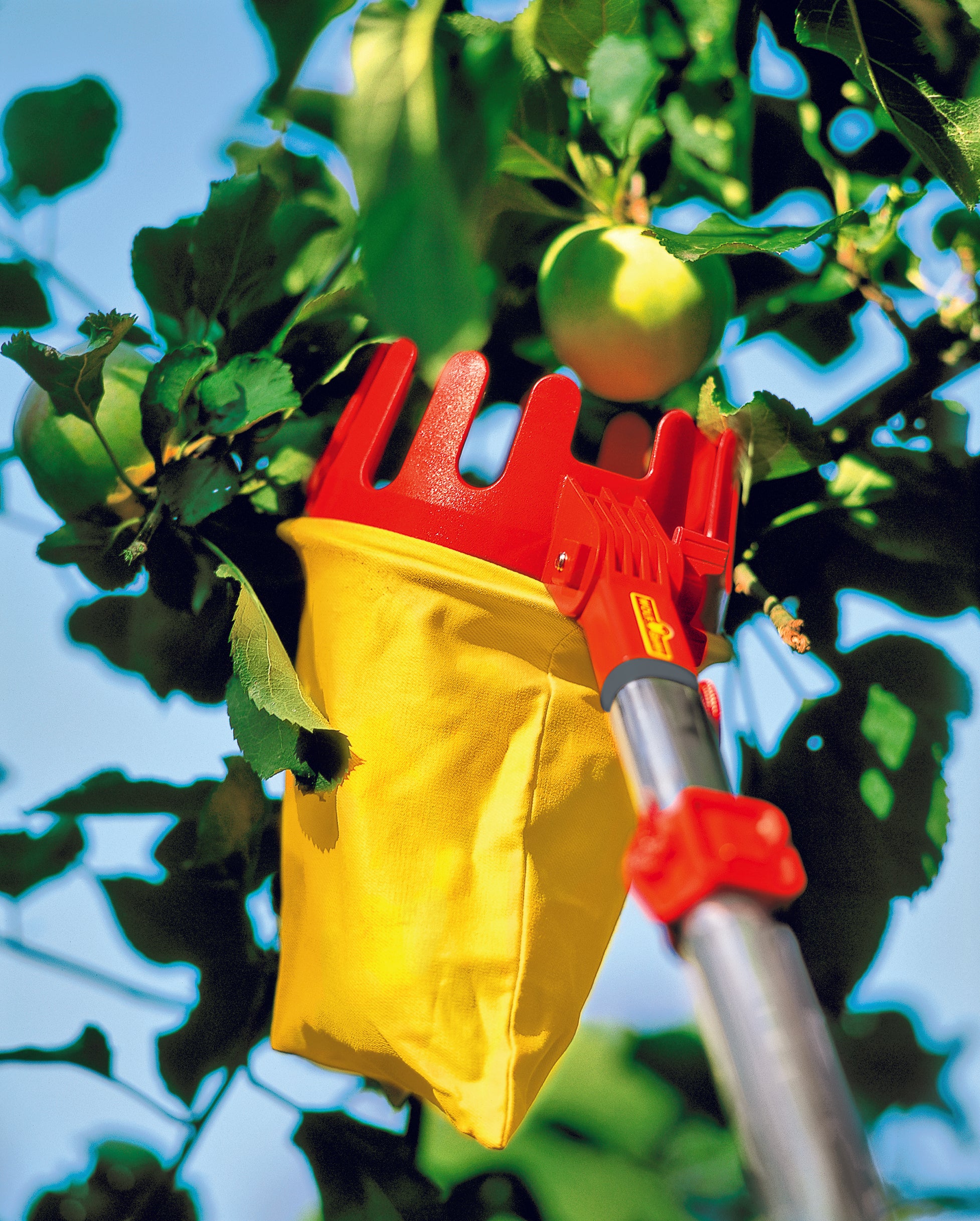 Wolf Garten multi-change® Adjustable Fruit Picker