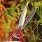 Perennial Hand Shears