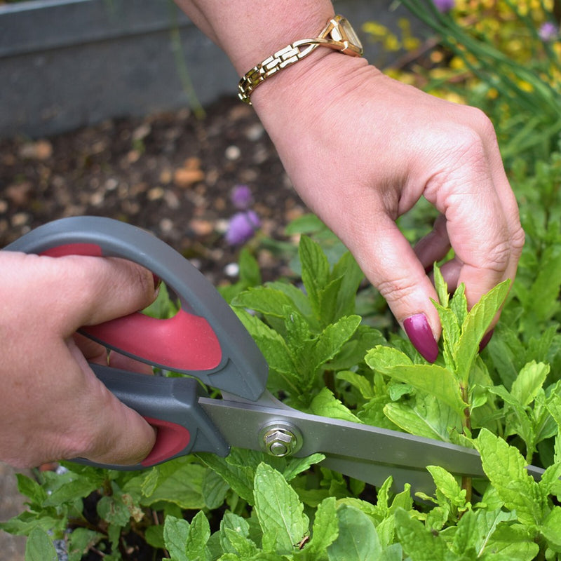 Garden Scissors