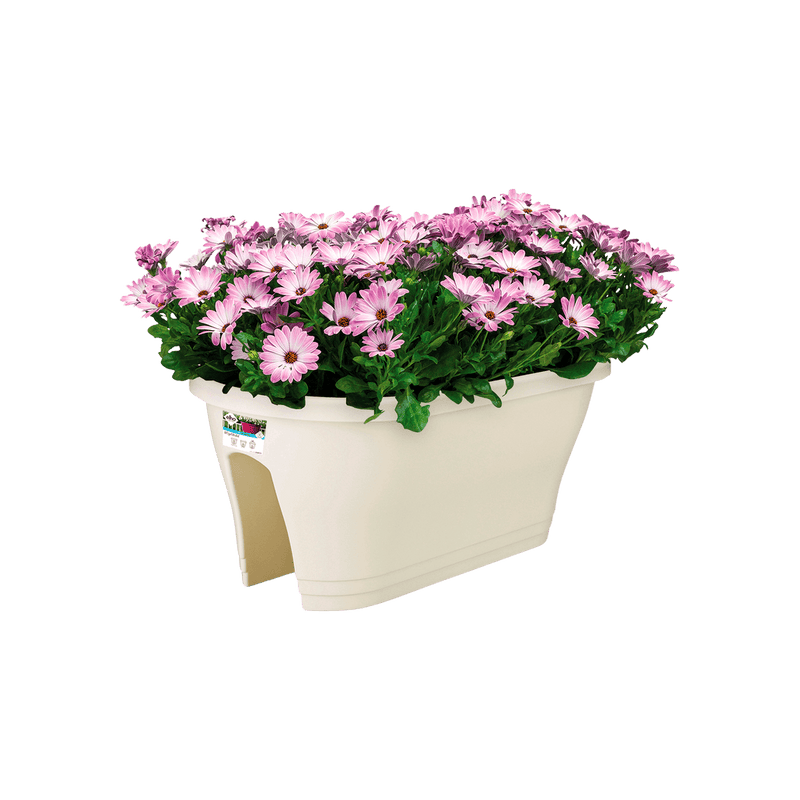 Corsica 60cm Flower Bridge - White