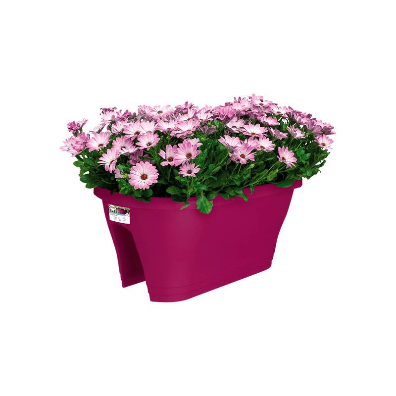 Corsica 60cm Flower Bridge - Cherry Red