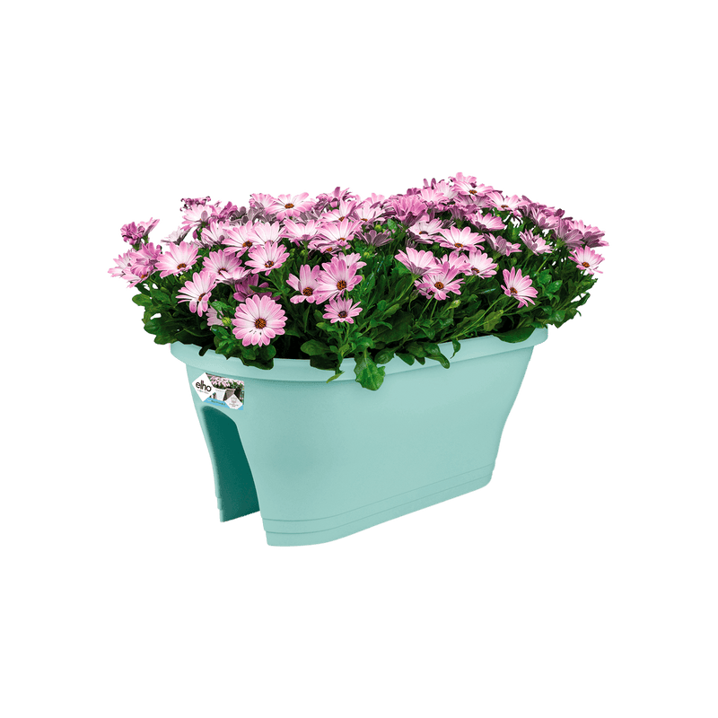 Corsica 60cm Flower Bridge - Mint