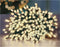 Premier Decorations 750 LED Multi Action TreeBrights, Warm White