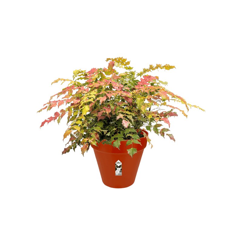 Loft Urban Round 30cm Pot - Brique