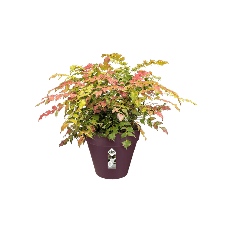 Loft Urban Round 30cm Pot - Mulberry Purple