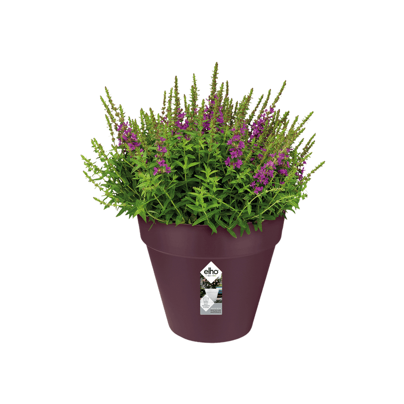 Loft Urban Round 30cm Pot - Mulberry Purple