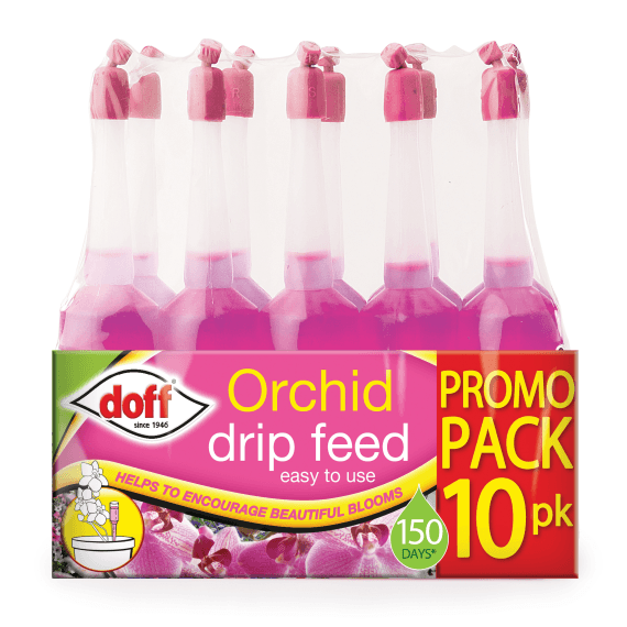 Orchid Drip Feeders - 10 Pack