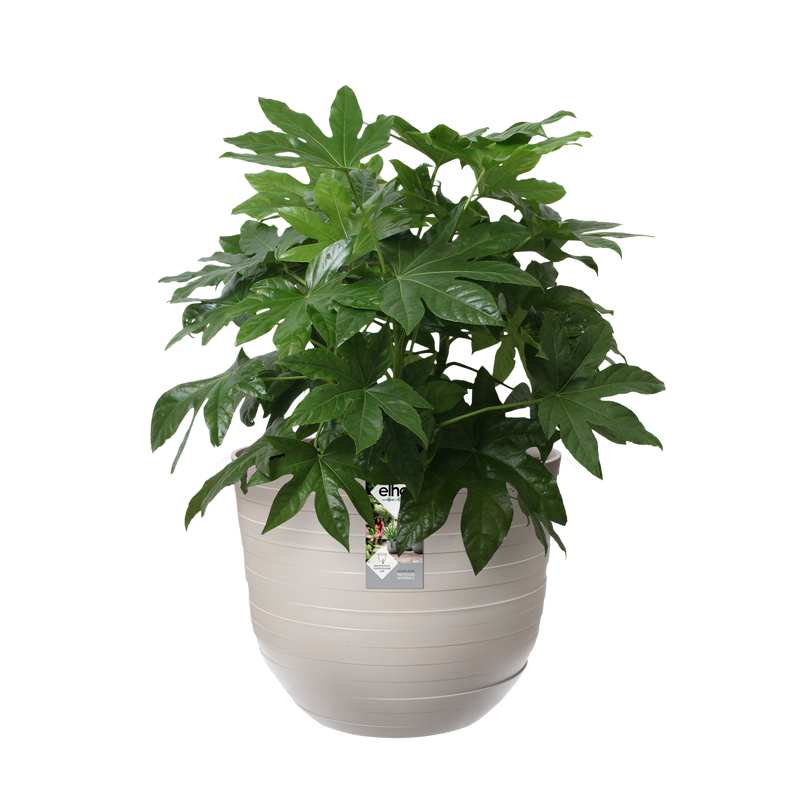 Elho Fuente Rings Round 30 - Flowerpot - Pebble Grey - Indooroutdoor! - Ø 29.46 x H 24.34 cm