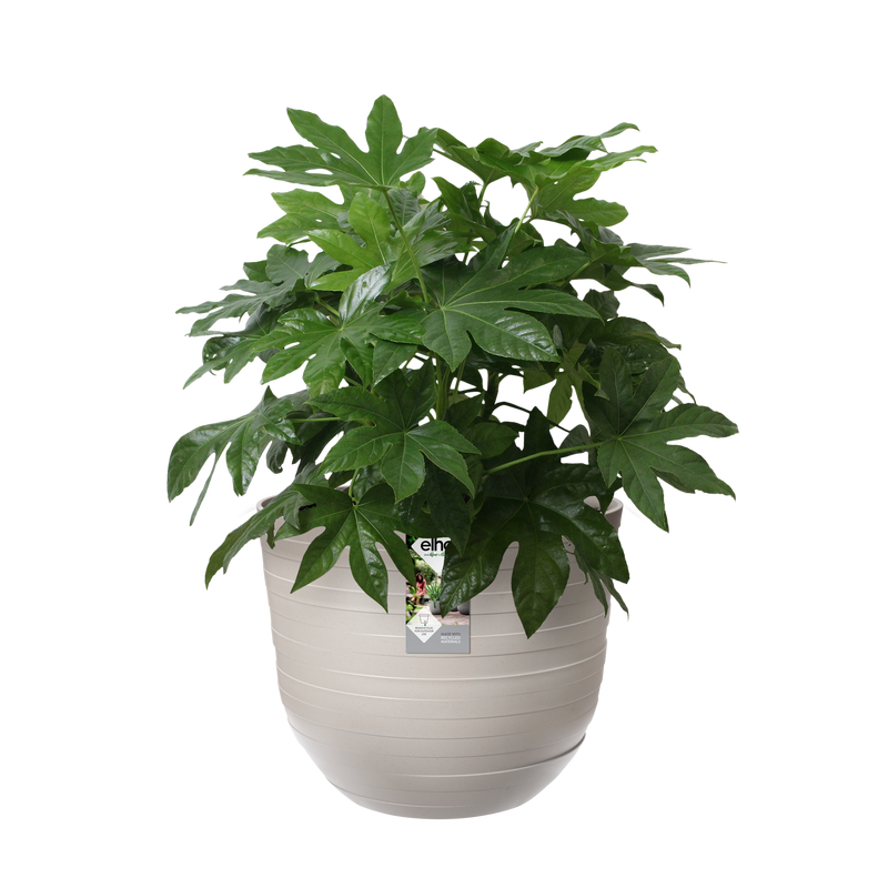 Elho Fuente Rings Round 47 - Flowerpot - Pebble Grey - Indooroutdoor! - Ø 46.47 x H 38.39 cm