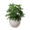 Elho Fuente Rings Round 47 - Flowerpot - Pebble Grey - Indooroutdoor! - Ø 46.47 x H 38.39 cm