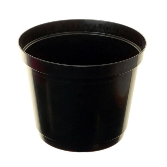 23cm Black Tomato Ring Planter