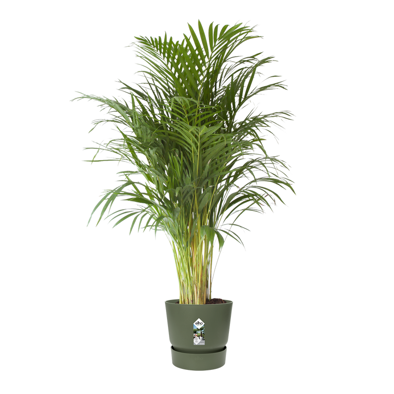 Greenville 40cm Round Plastic Ourdoor Plant Pot - Leaf Green