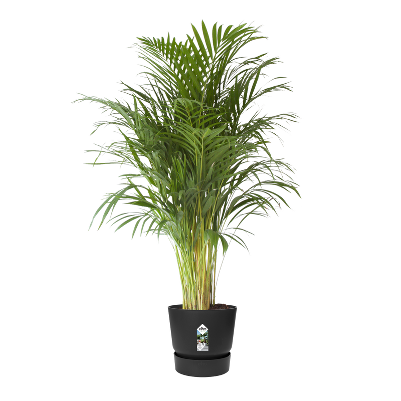 Greenville 40cm Round Plastic Ourdoor Plant Pot - Living Black