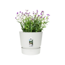 Elho Greenville Round 16 - Flowerpot - White - Outdoor! - Ø 16.00 x H 15.30 cm