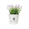 Elho Greenville Round 16 - Flowerpot - White - Outdoor! - Ø 16.00 x H 15.30 cm