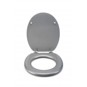 Fix Toilet Seat - Silver Quartz