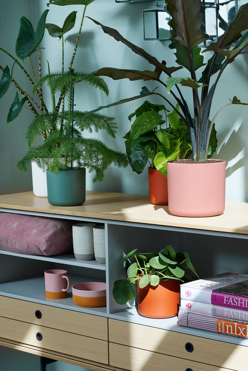 B.for 14cm Soft Round Plastic Indoor Plant Pot - Delicate Pink