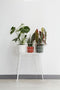 B.for 16cm Soft Round Plastic Indoor Plant Pot - Leaf Green