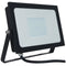 Atlas Mini 2 LED Floodlight IP65 Black 50W 4000K