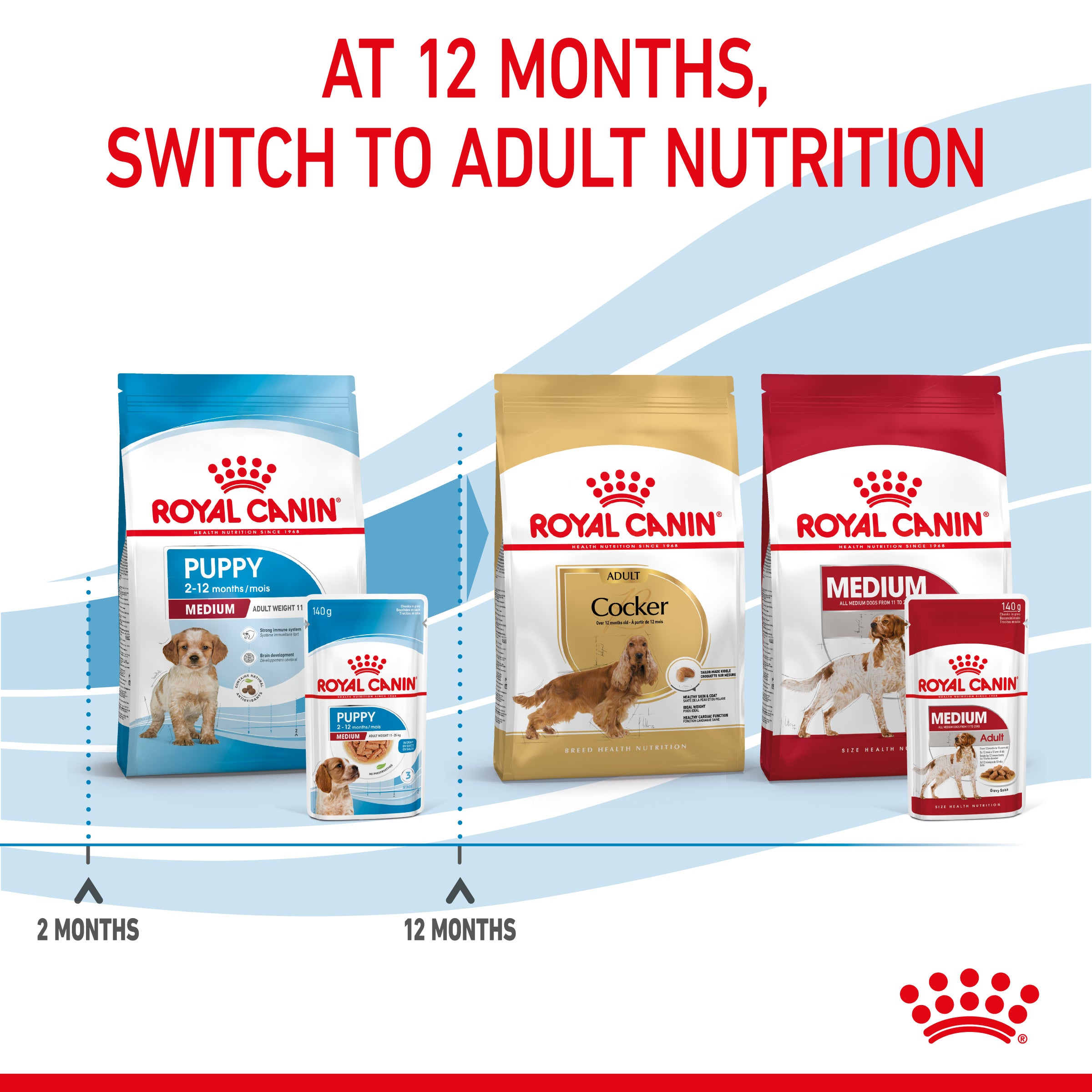 Royal Canin Medium Puppy in Gravy Wet Food, 140g x 10 Pack