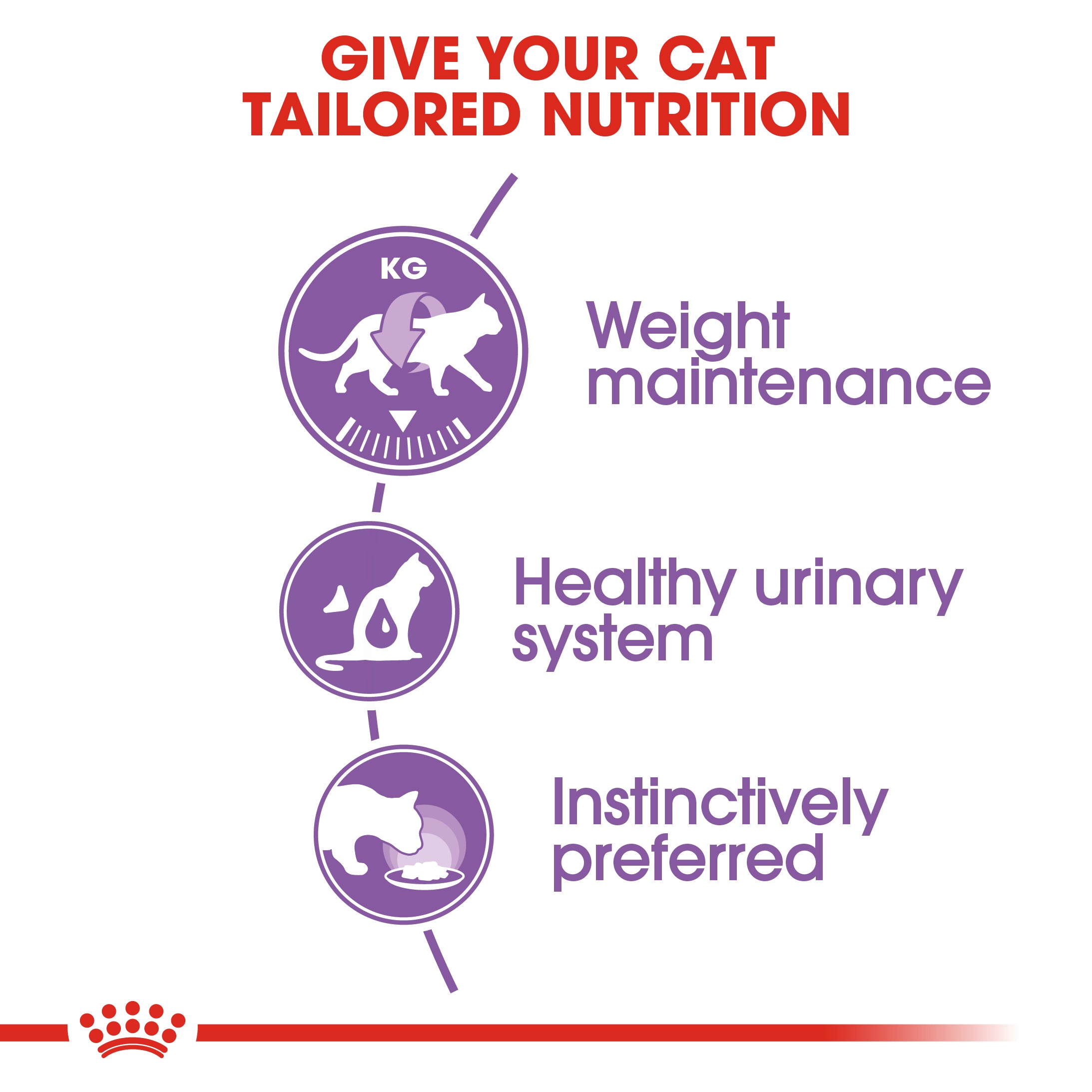 Royal Canin Sterilised In Jelly Adult Wet Cat Food, 85g x 12 Pack