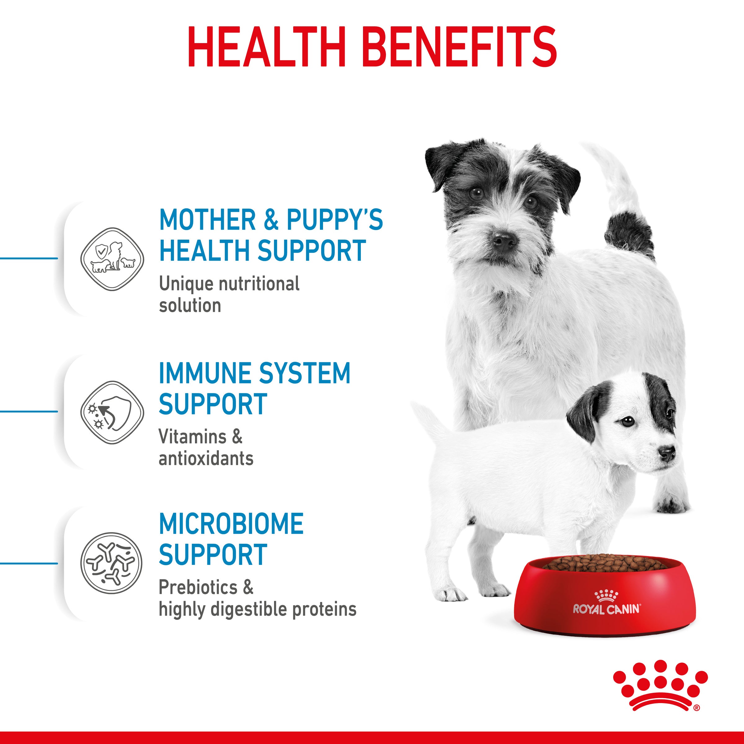 Royal Canin Mini Starter Mother & Babydog Adult and Puppy Dry Food, 4kg x 4 Pack