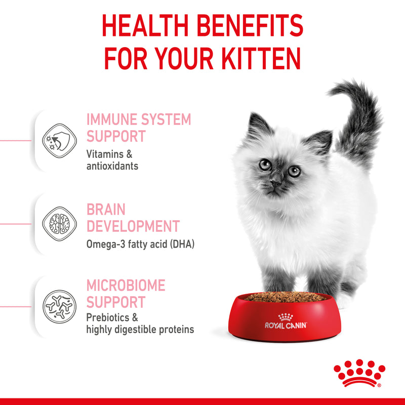 Royal canin kitten sales dry food 2kg