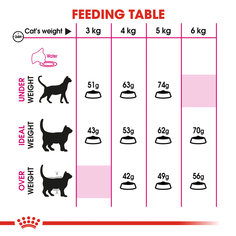 Royal Canin Savour Exigent Adult Dry Cat Food, 400g x 12 Pack