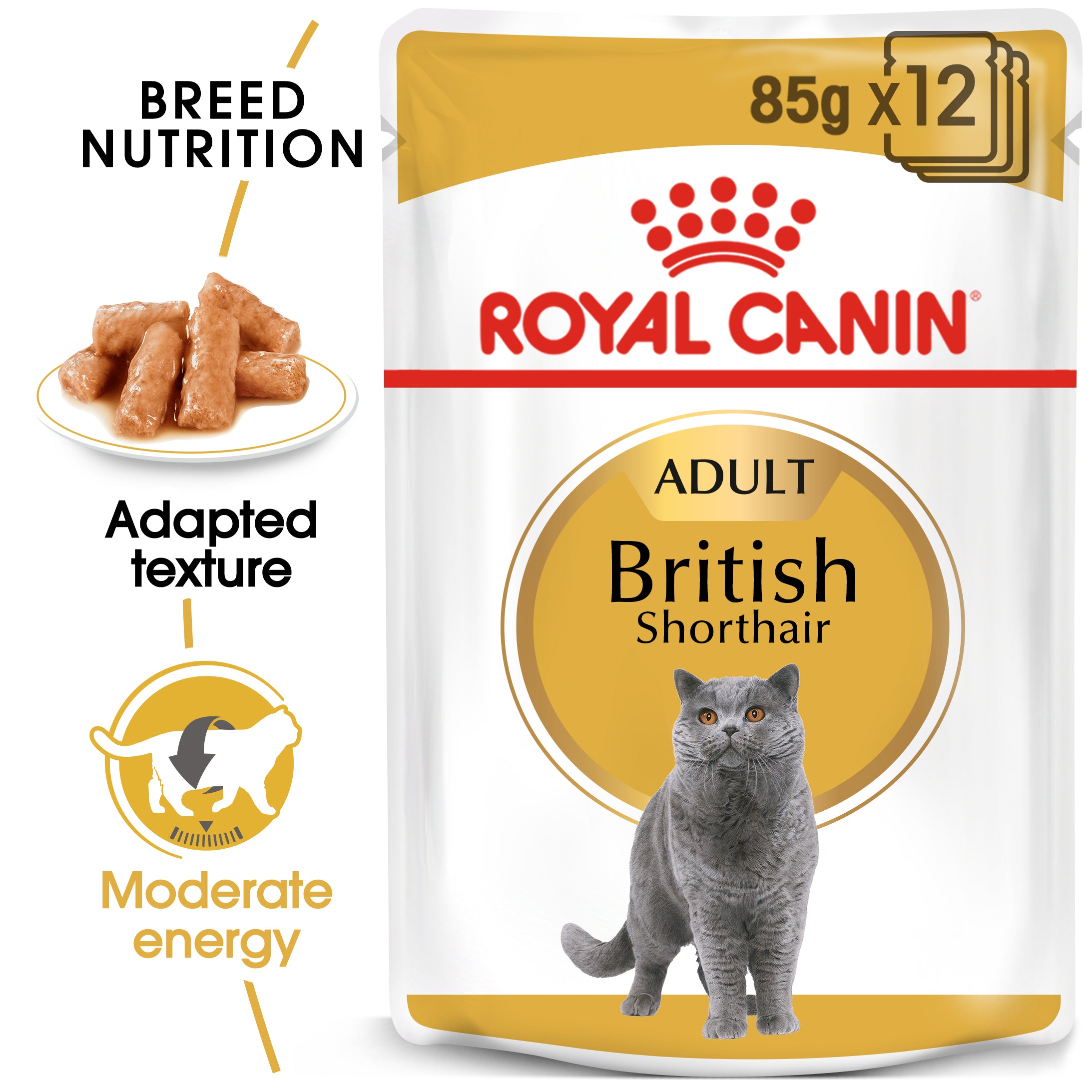 Royal Canin British Shorthair in Gravy Adult Wet Cat Food, 85g x 12 Pack