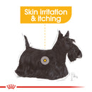 Royal Canin Mini Dermacomfort Adult Dry Dog Food, 3kg x 4 Pack