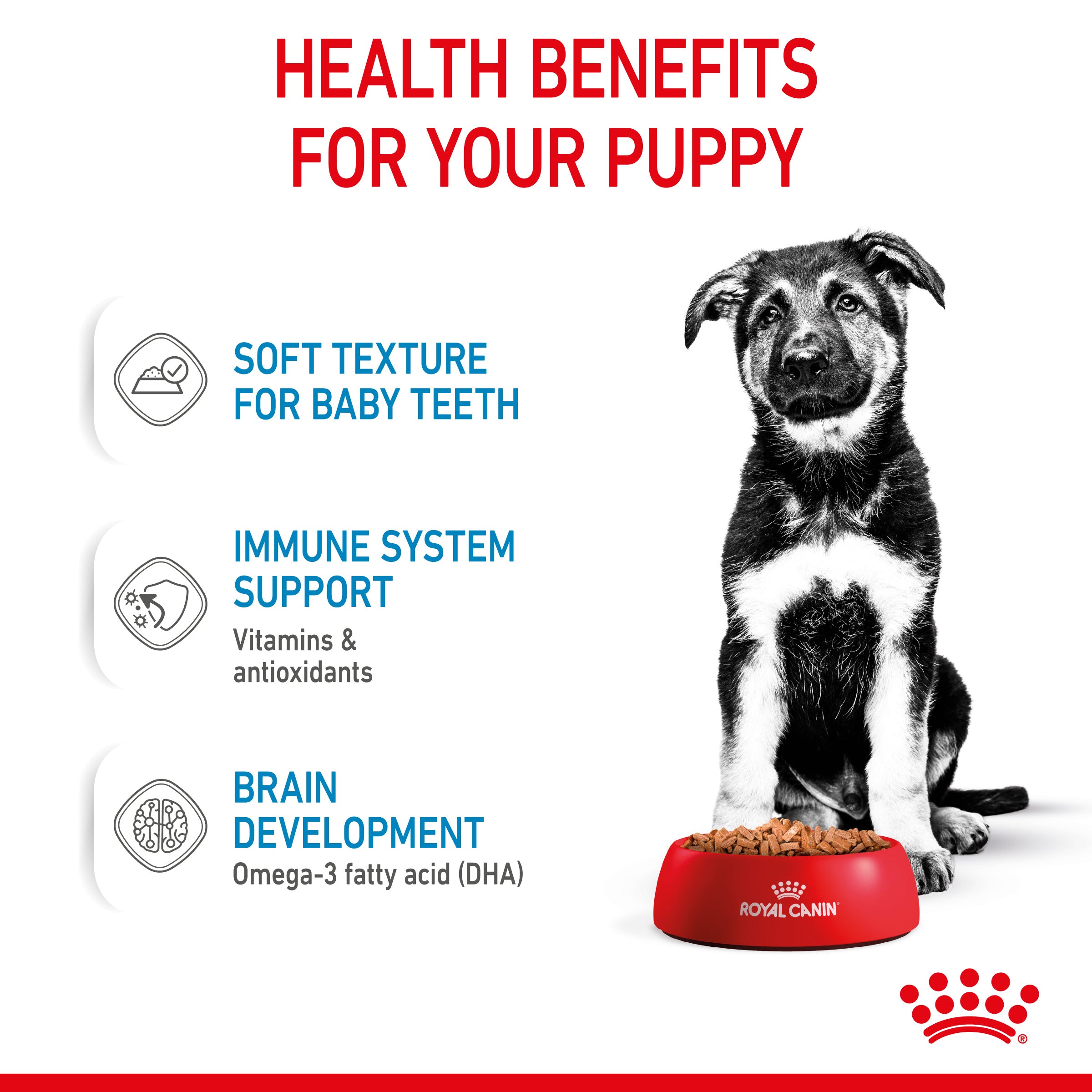 Royal Canin Maxi Puppy in Gravy Wet Food, 140g x 10 Pack