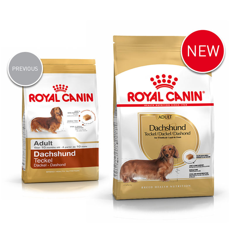 Royal canin shop dachshund wet food