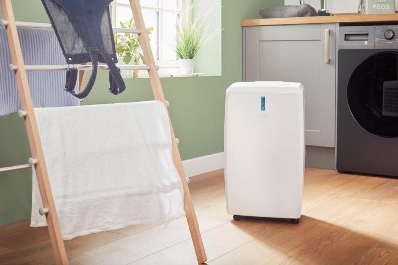 Dimplex Everdri 20E 20L Dehumidifier