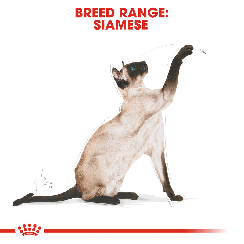 Royal Canin Siamese Adult Dry Cat Food, 4kg x 4 Pack