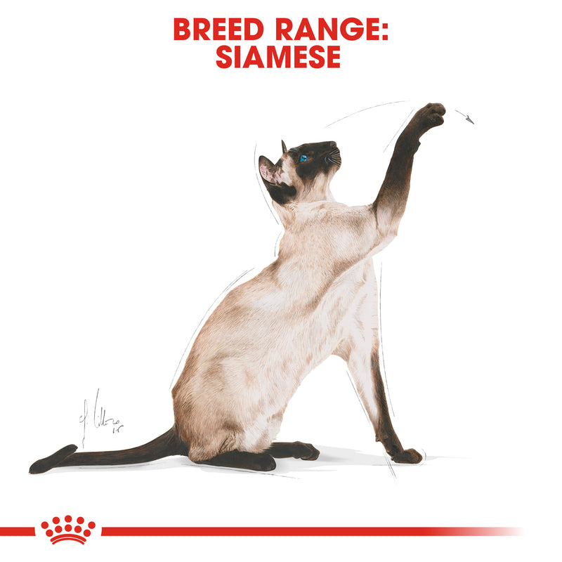 Royal Canin Siamese Adult Dry Cat Food, 2kg