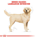 Royal Canin Labrador Retriever Adult Dry Dog Food, 3kg x 4 Pack