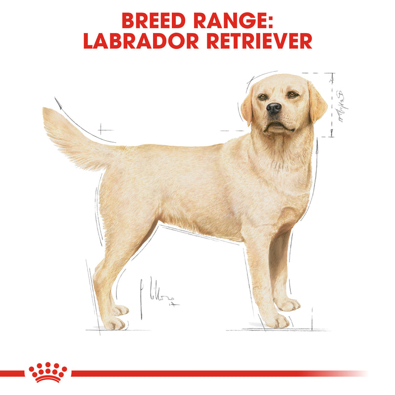 Royal Canin Labrador Retriever Adult Dry Dog Food, 3kg x 4 Pack