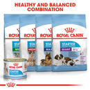 Royal Canin Starter Mother & Babydog Adult and Puppy Wet Food Mousse, 195g