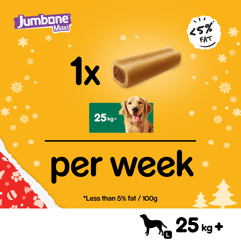 Pedigree Christmas Jumbone Large Dog Turkey Flavour Treat