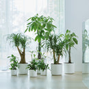 B.for 14cm Soft Round Plastic Indoor Plant Pot - White