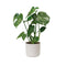 B.for 25cm Soft Round Plastic Indoor Plant Pot - White