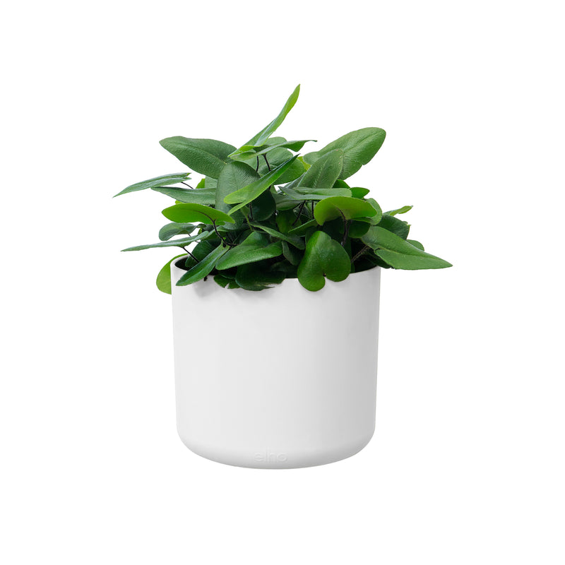 B.for 16cm Soft Round Plastic Indoor Plant Pot - White