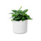 B.for 14cm Soft Round Plastic Indoor Plant Pot - White