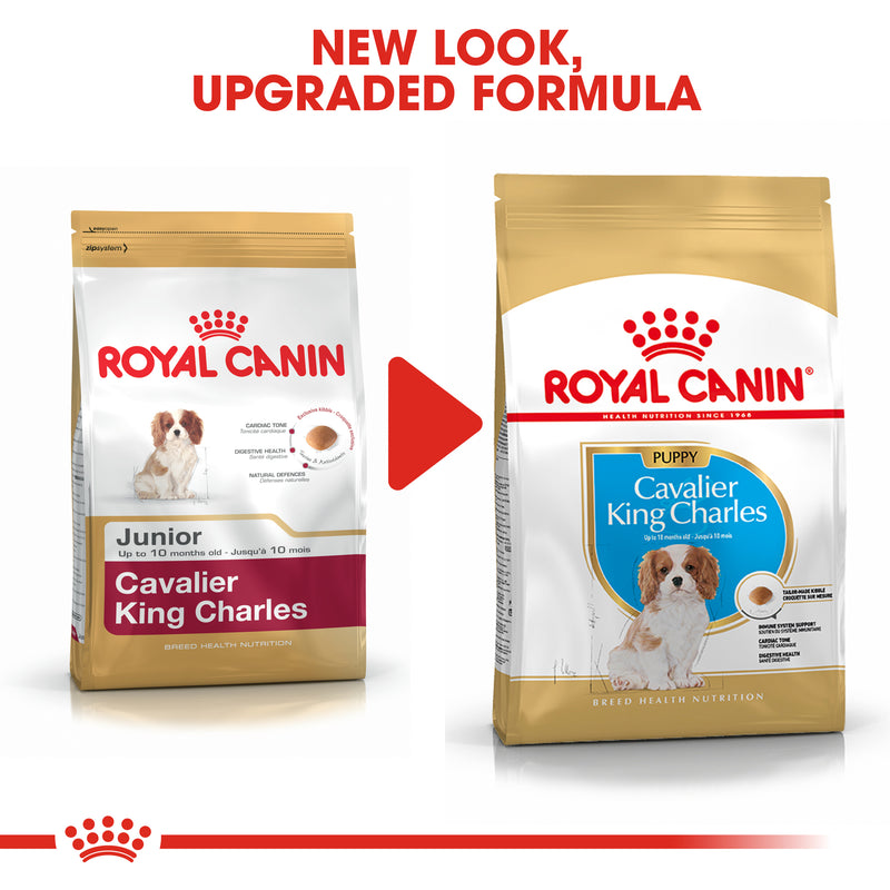 Royal Canin Cavalier King Charles Puppy Dry Food, 1.5kg x 6 Pack