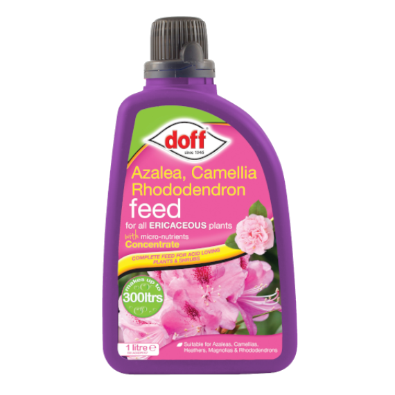 Doff Azalea, Camellia & Rhododendron Feed 1 Litre