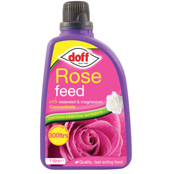 Doff Concentrate Rose Feed 1 Litre