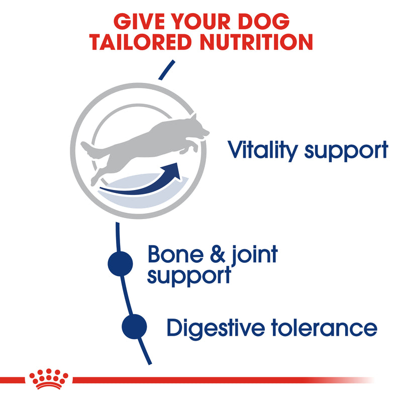 Royal Canin Maxi Adult 5+ Dry Dog Food, 4kg x 4 Pack
