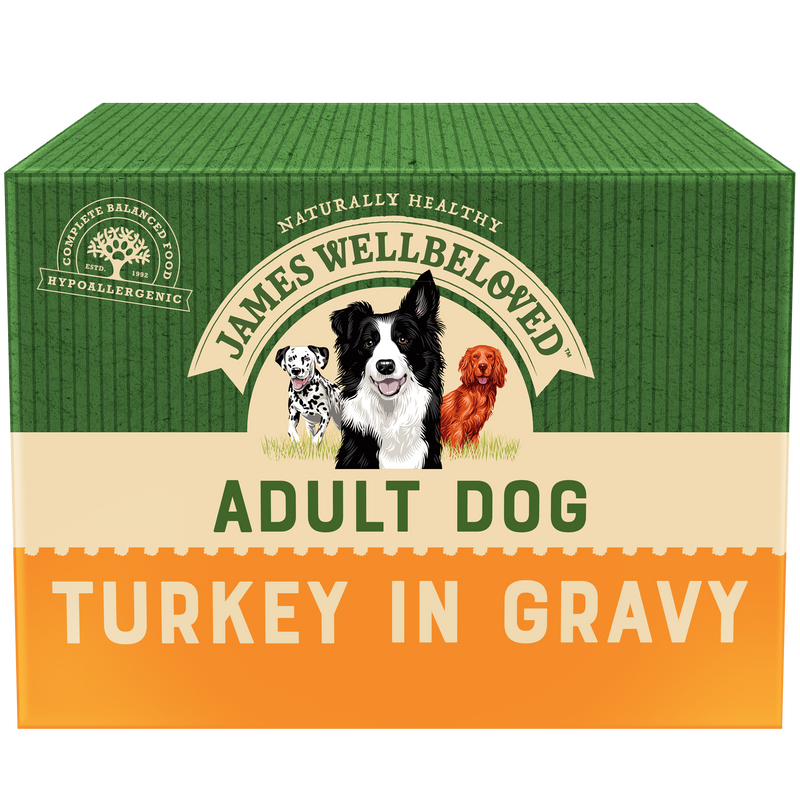 Adult Dog Turkey in Gravy Pouch 10 x 150g