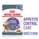 Royal Canin Appetite Control Care in Jelly Adult Wet Cat Food, 85g