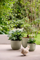 Elho Fuente Lily Round 30 - Flowerpot - Pebble Grey - Indooroutdoor! - Ø 29.46 x H 24.34 cm